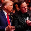 Trump 'diktatör' demişti: Elon Musk'tan Zelenskiy'e seçim çağrısı