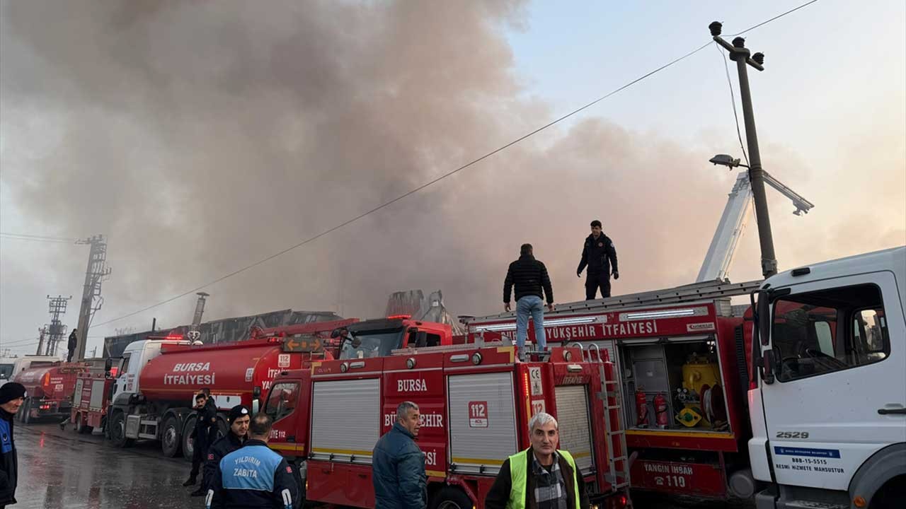 Bursa'da fabrika yangını: Yavru kediye oksijen tedavisi