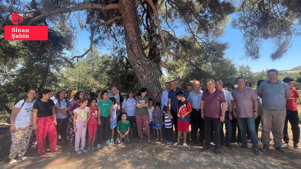 Künesler'in çilesi bitmiyor: Ormanı kurtardılar, arazilerinden oldular