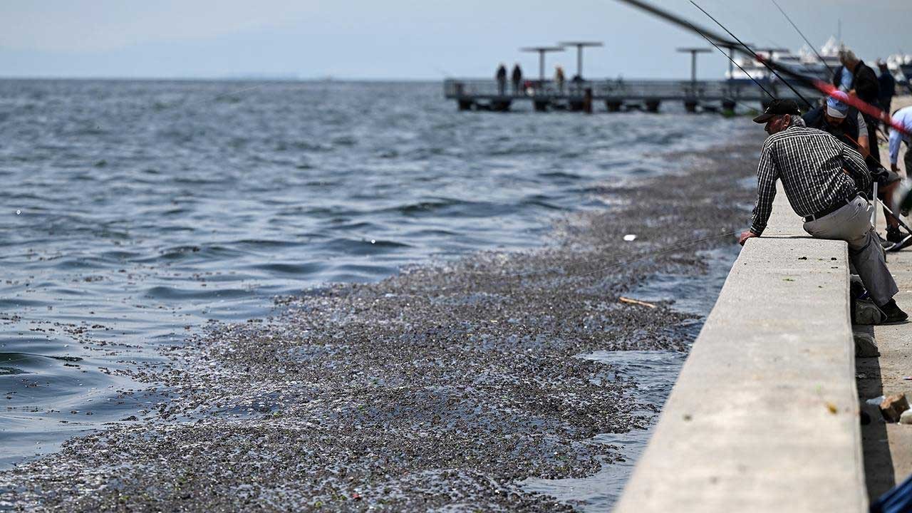 İzmir Körfezi kirlilik raporu açıklandı: Kirlilik üst seviyede