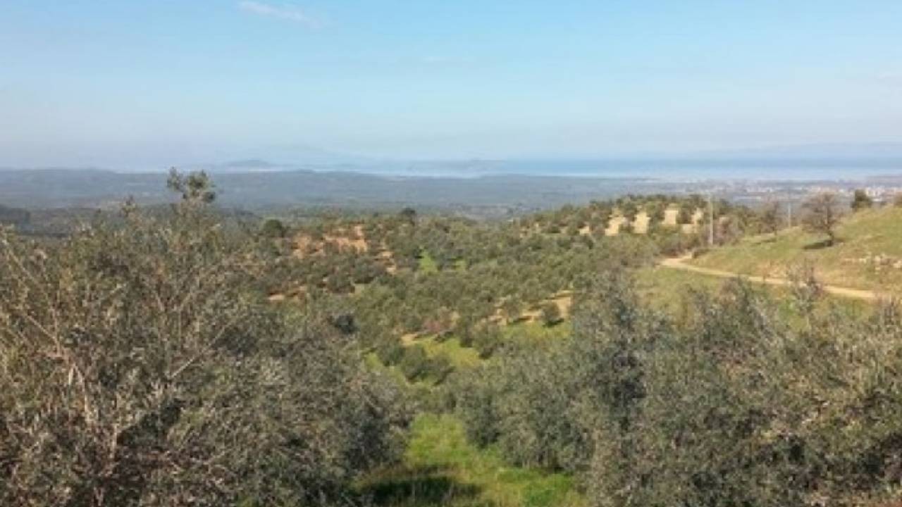 İvrindi'de maden tehdidi: Köylülerden yaylayı boşaltmaları istendi