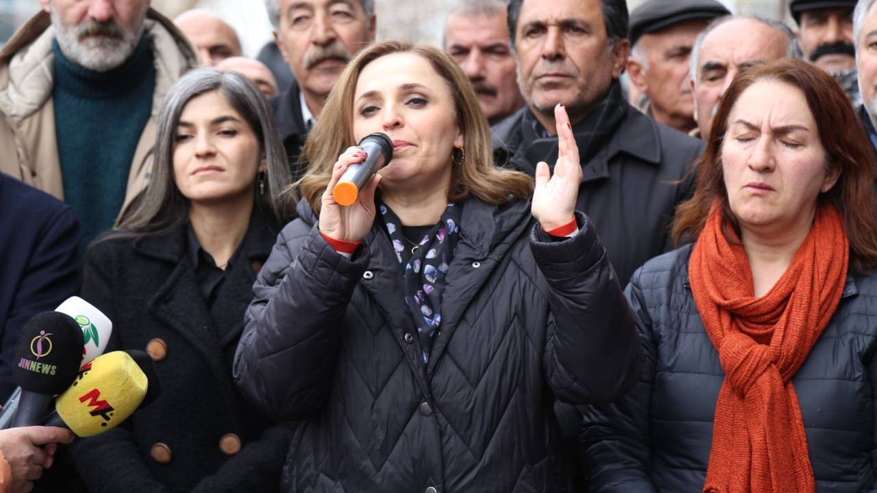 Ayşegül Doğan: Önü kesilmezse yarın İstanbul'a, Ankara'ya kayyım atanır