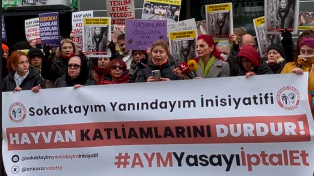 ‘Nejla Teyze’ için adalet talebi: ‘Hayvanlara yönelik nefret toplumsal sorun haline geldi’