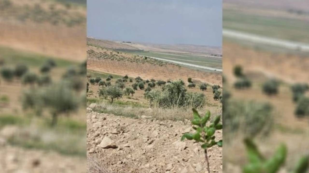 Türkiye sınırından Kobane'deki çiftçilere ateş açıldı