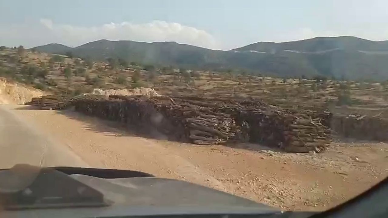 Gabar’da ekolojik tahribat devam ediyor