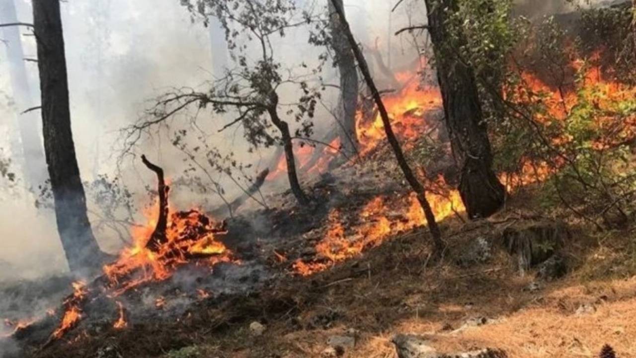 Antalya'da iki bölgede orman yangını