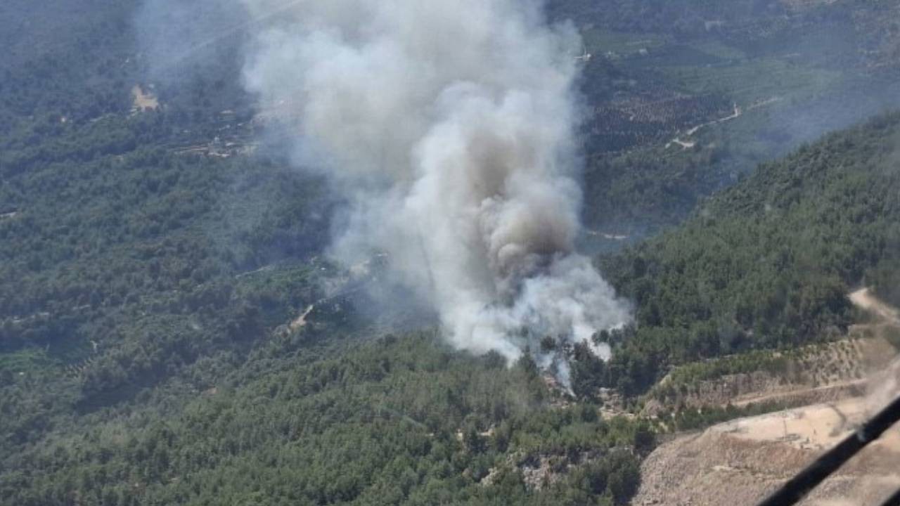 Sakarya ve Manisa'daki orman yangınlarında 17 gözaltı
