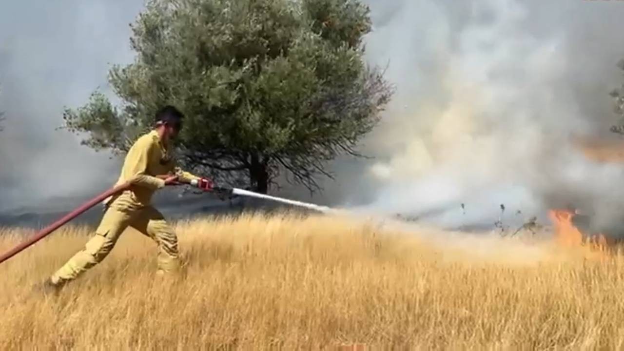 Muğla Milas'ta zeytinlik alanda yangın çıktı
