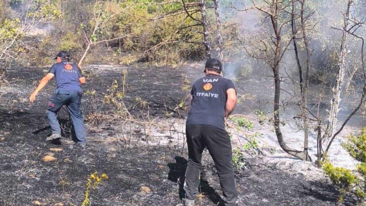 Van’da tarihi ve turistik alanda yangın