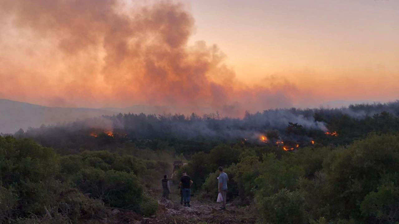 Urla'da çıkan yangın kontrol altına alındı