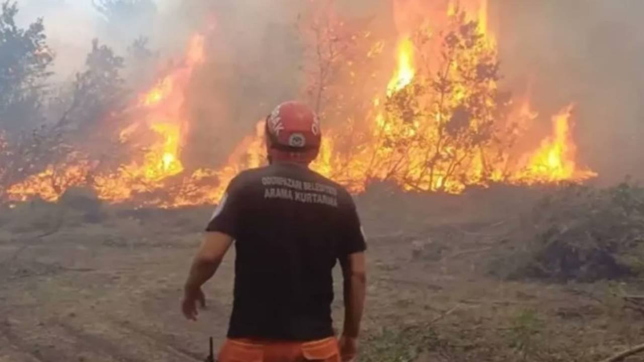 4 kentte orman yangını: 10 kişinin öldüğü Eskişehir yangını hâlâ söndürülemedi