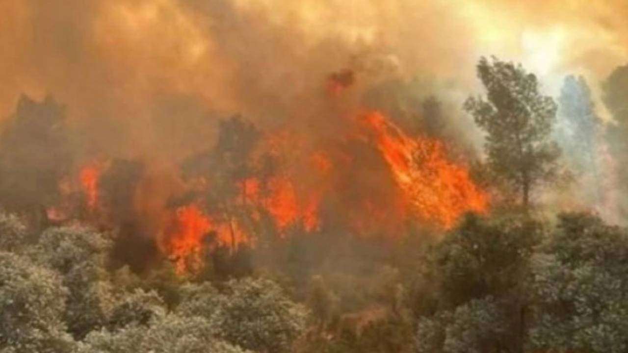 Bakan Yumaklı orman yangınları ile ilgili son durumu açıkladı