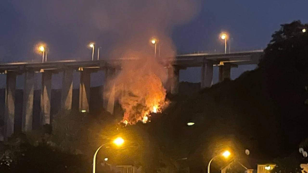 Beykoz'da ormanlık alanda çıkan yangın söndürüldü