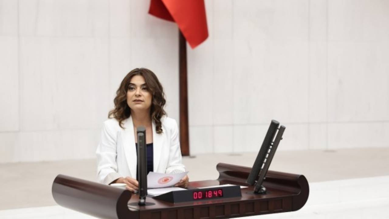 Meclis'te Gazze toplantısı... DEM Partili Koçyiğit: Filistin sorunu bir sömürgecilik sorunudur