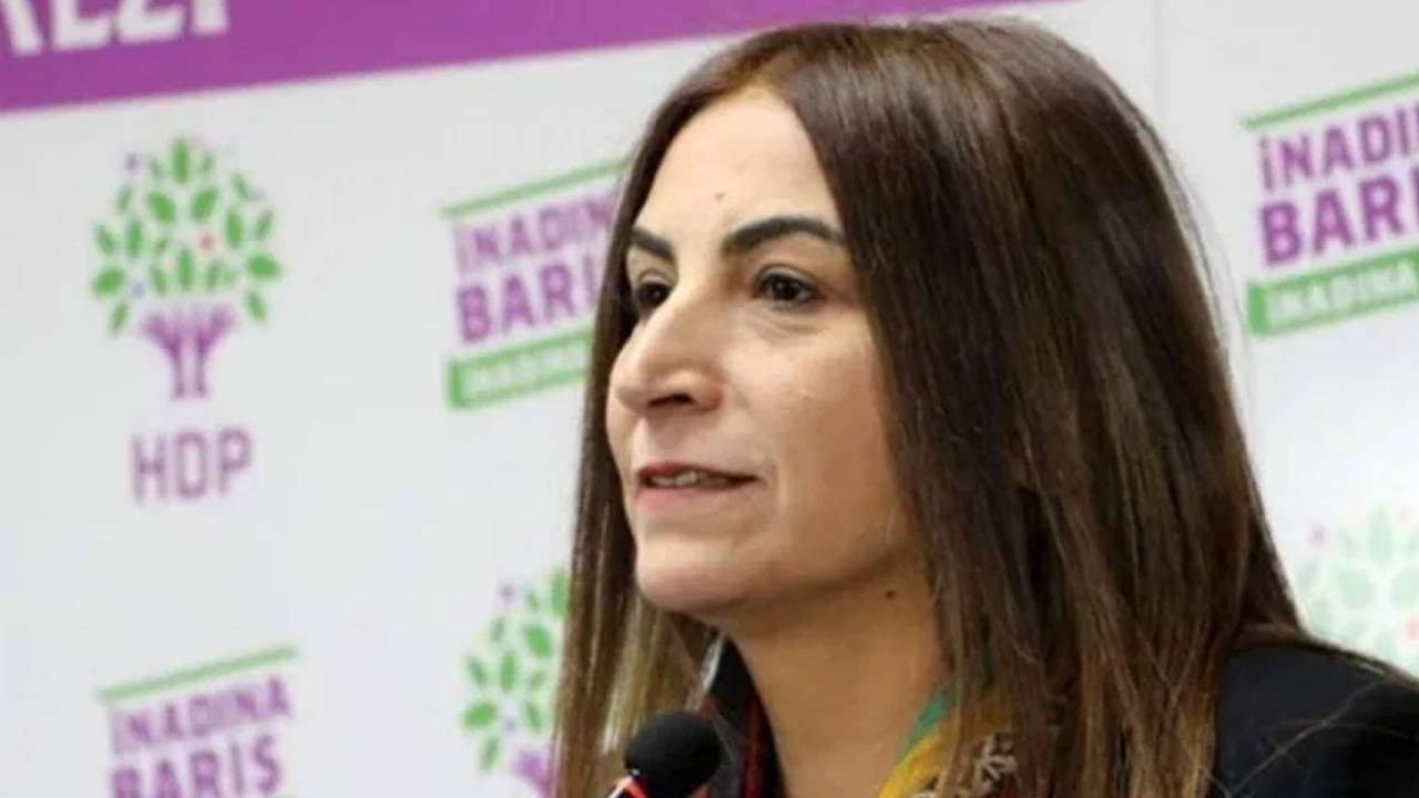 AİHM'den Aysel Tuğluk kararı: Siyasi nedenlerle tutuklandı