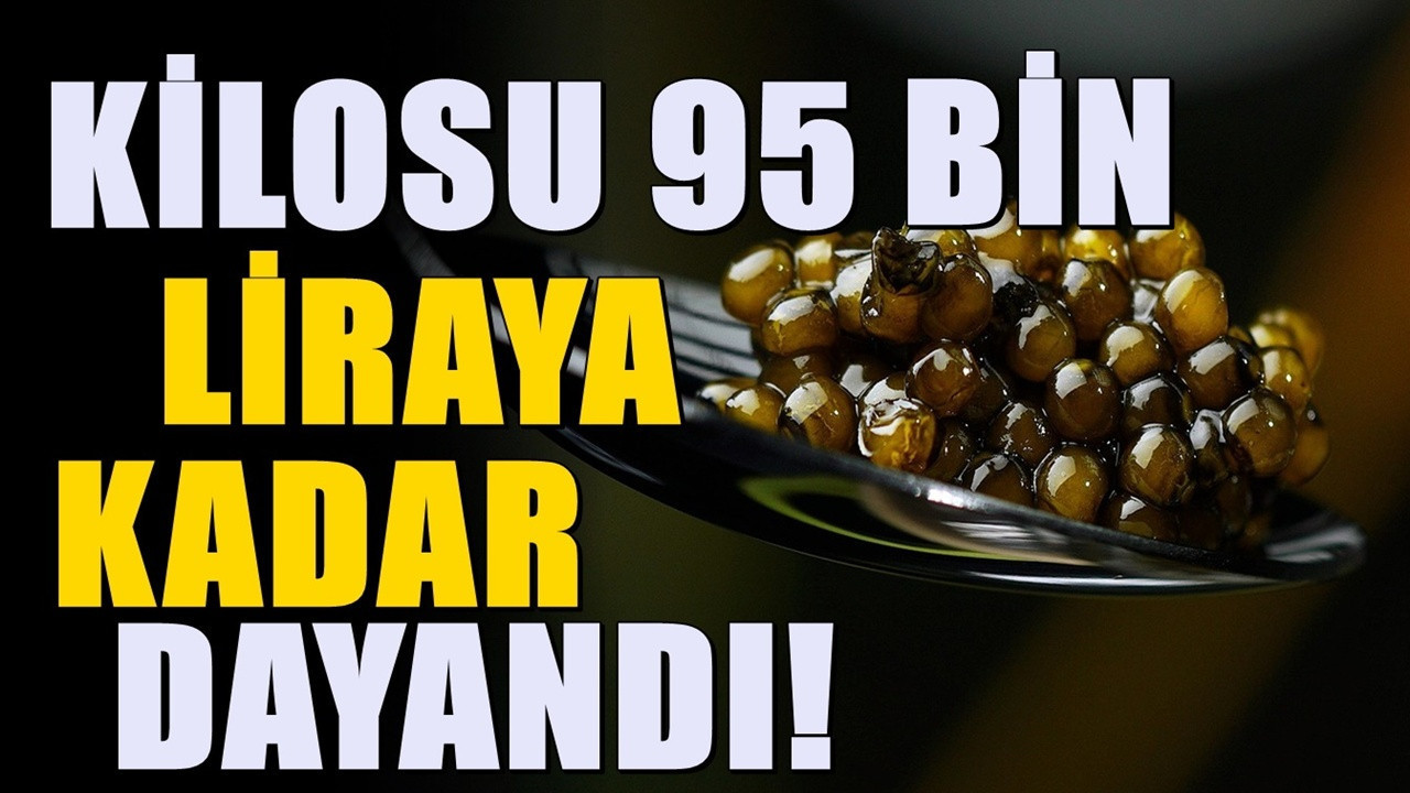 Kilosu 95 bin liradan alıcı buluyor... Amasya'da çokça üretiliyor
