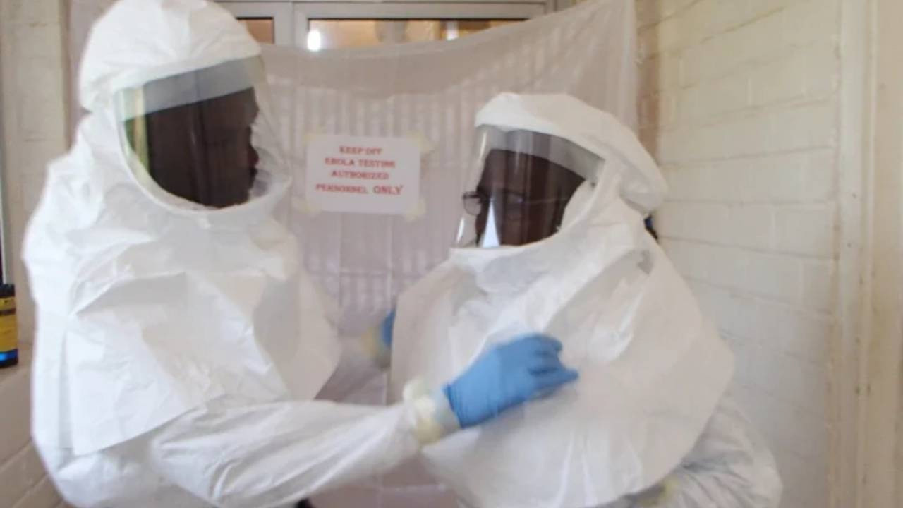 Nijerya'da Lassa ateşi salgını: 2025'te 176 kişi öldü