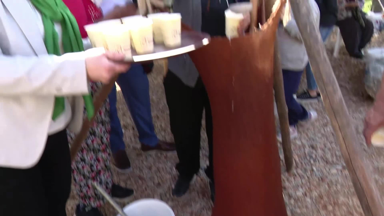 Manavgat’ta “2. Zeytin ve Zeytinyağı Festivali” devam ediyor