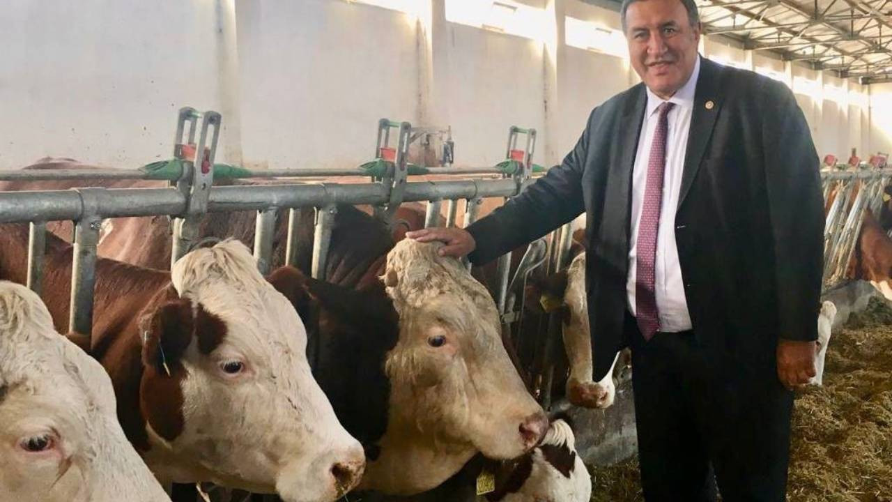 Milletvekili Ömer Fethi Gürer açıkladı: Gebe inekler dahi haciz edildi