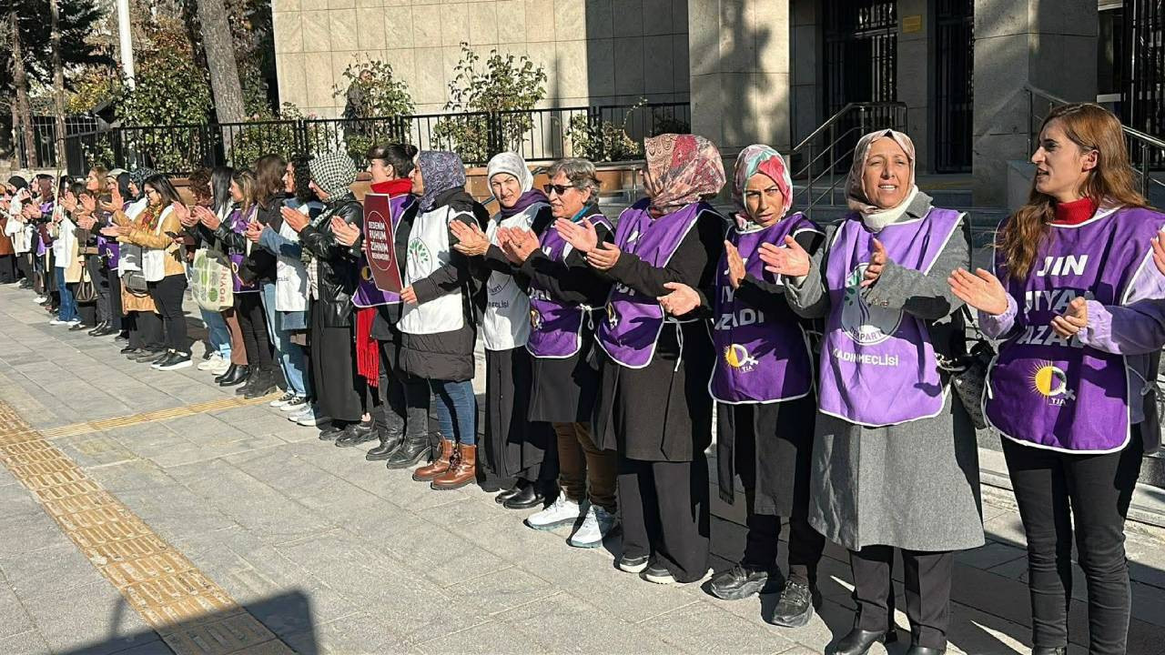 25 Kasım eylemleri | Van'da kadın cinayetlerine karşı insan zinciri