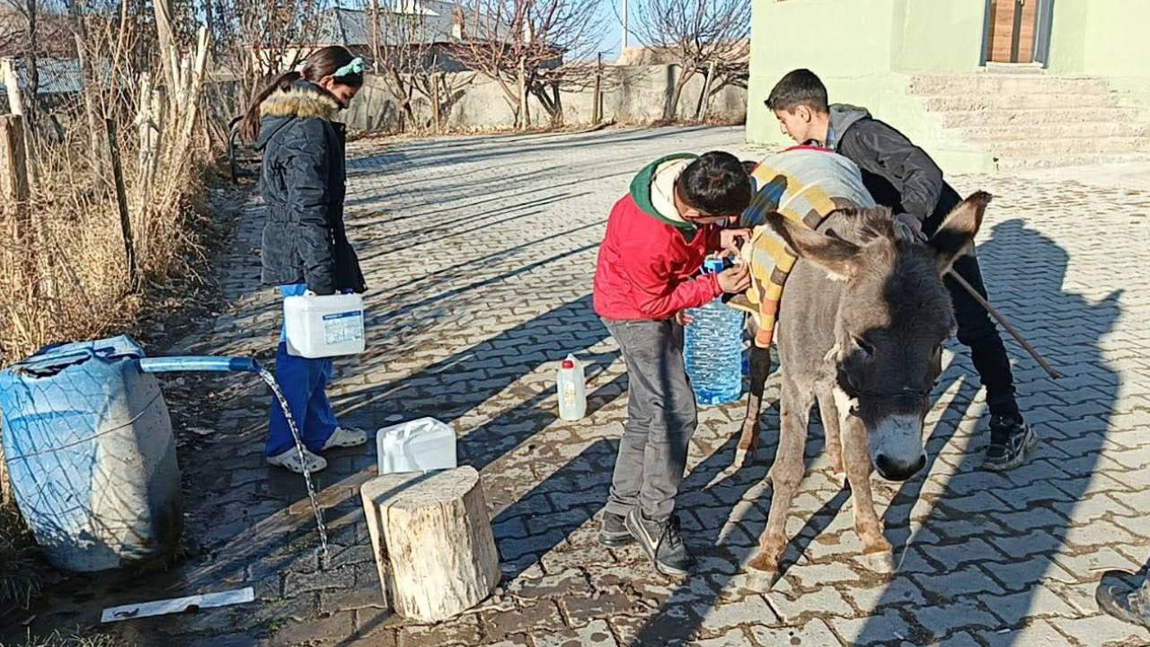 Eşeklerle taşınan suya VASKi fatura kesmiş: 'Sayacı eşeğe mi bağladılar?'