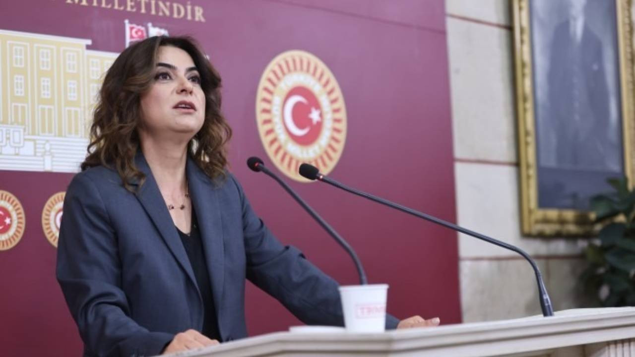 Gülistan Kılıç Koçyiğit: Silahların susması başlangıçtır, hedef pozitif barış