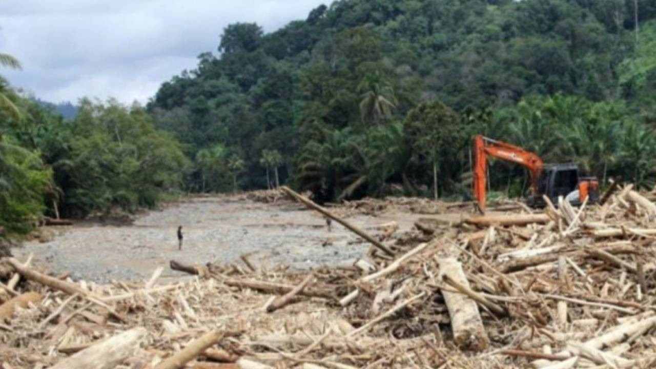Sel felaketi sonrası Endonezya’da orman ruhsatları iptal ediliyor