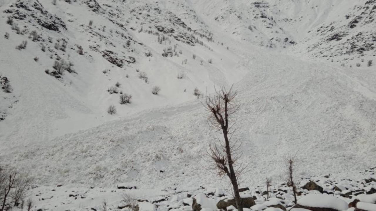 Hakkari’de çığ düştü: 150 keçi öldü