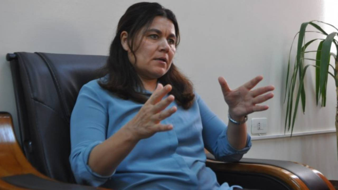 Foza Yusif: Bu savaş dış güçler tarafından dayatıldı