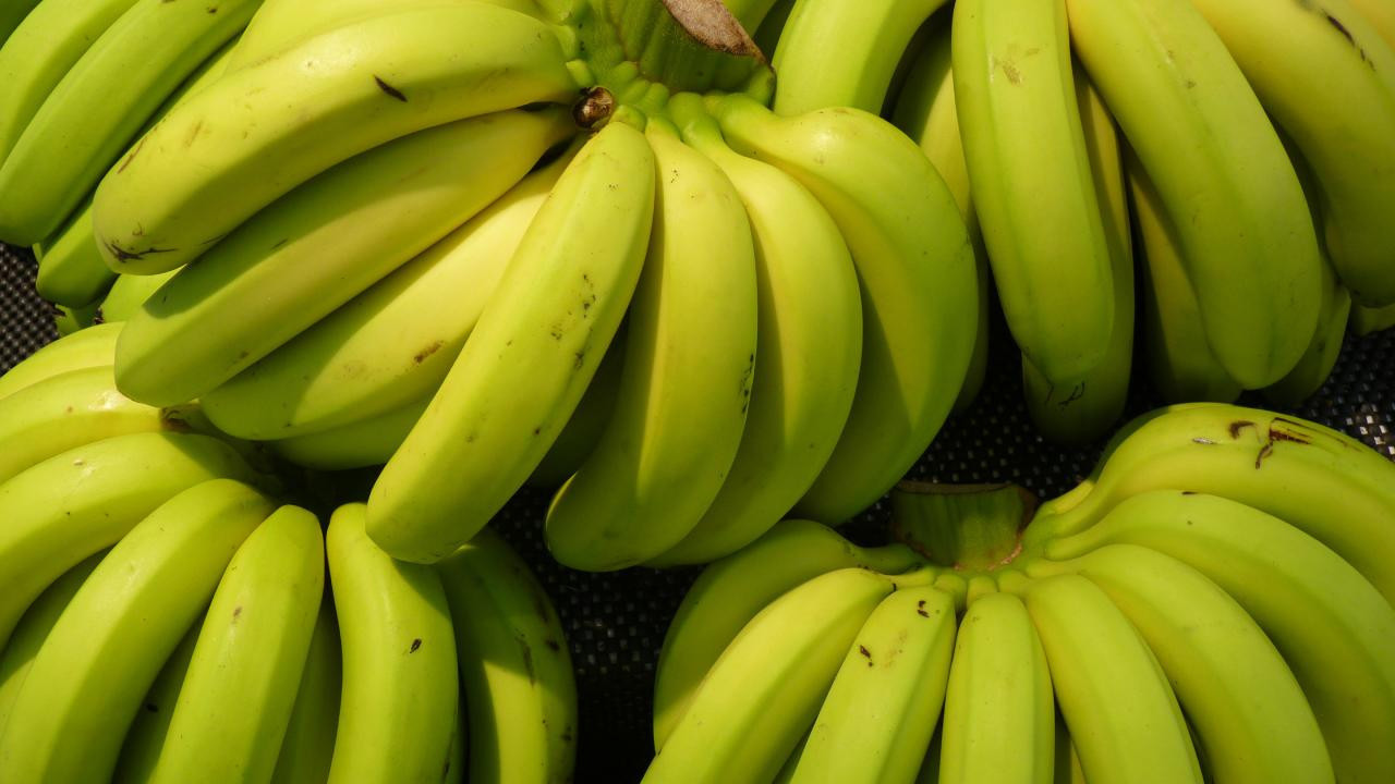 Yeşil Muzdan Gelen Şok Etki! Bu Alışkanlık Kanser Riskini %60’tan Fazla Azaltıyor