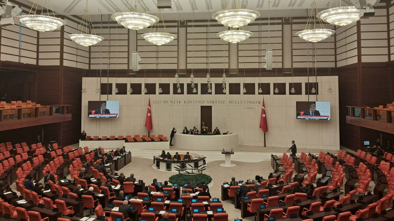 Meclis'te kadın cinayetleri tartışması: DEM Parti’nin önerisi reddedildi
