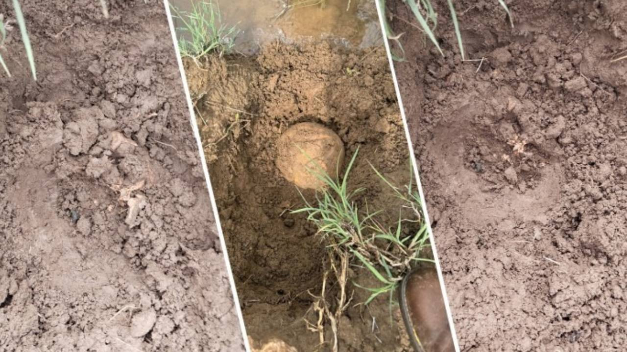 Lice'de bulunan kemikler biri çocuk 2 kişiye ait çıktı