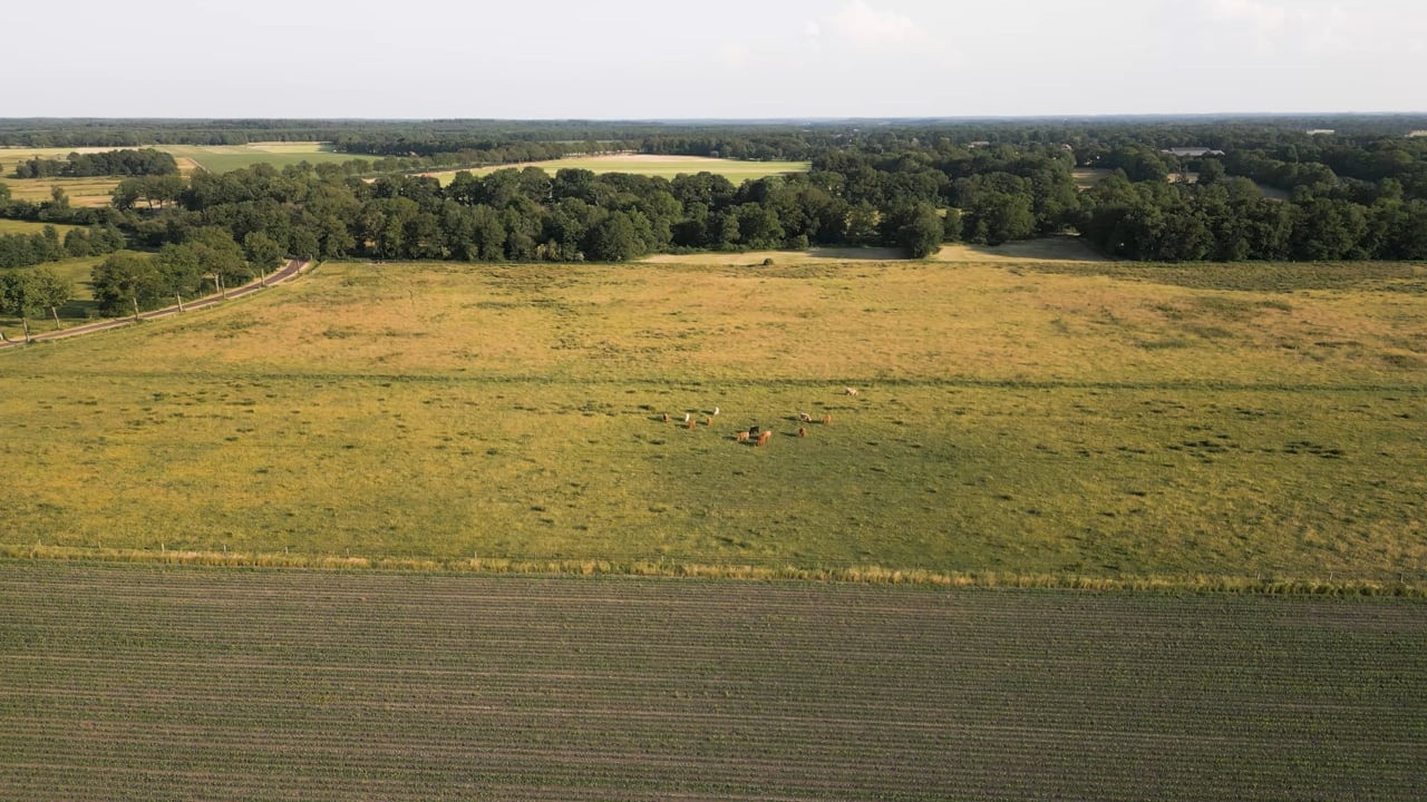 Arsaları Çok Değerli Olacak! Yeni İstanbul Olma Yolundaki 3 İl