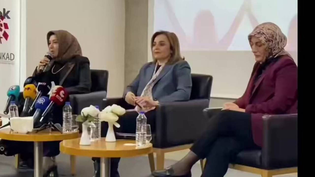 AKP'li Alkış’ın süreç ile ilgili 'buzdoladı' sözlerine Ayşegül Doğan'dan tepki: 'Bu metafora tahammülüm yok'