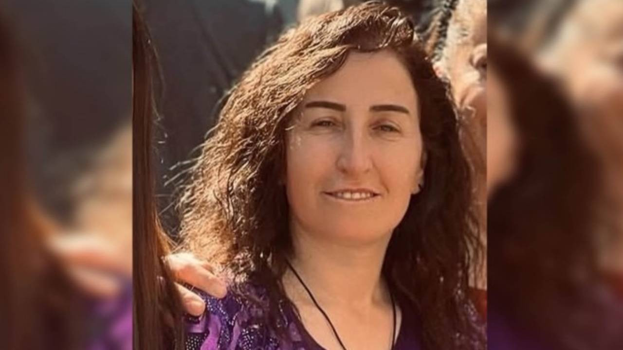 Newroz soruşturması: Yüksekova'da DEM Parti yöneticisi gözaltına alındı
