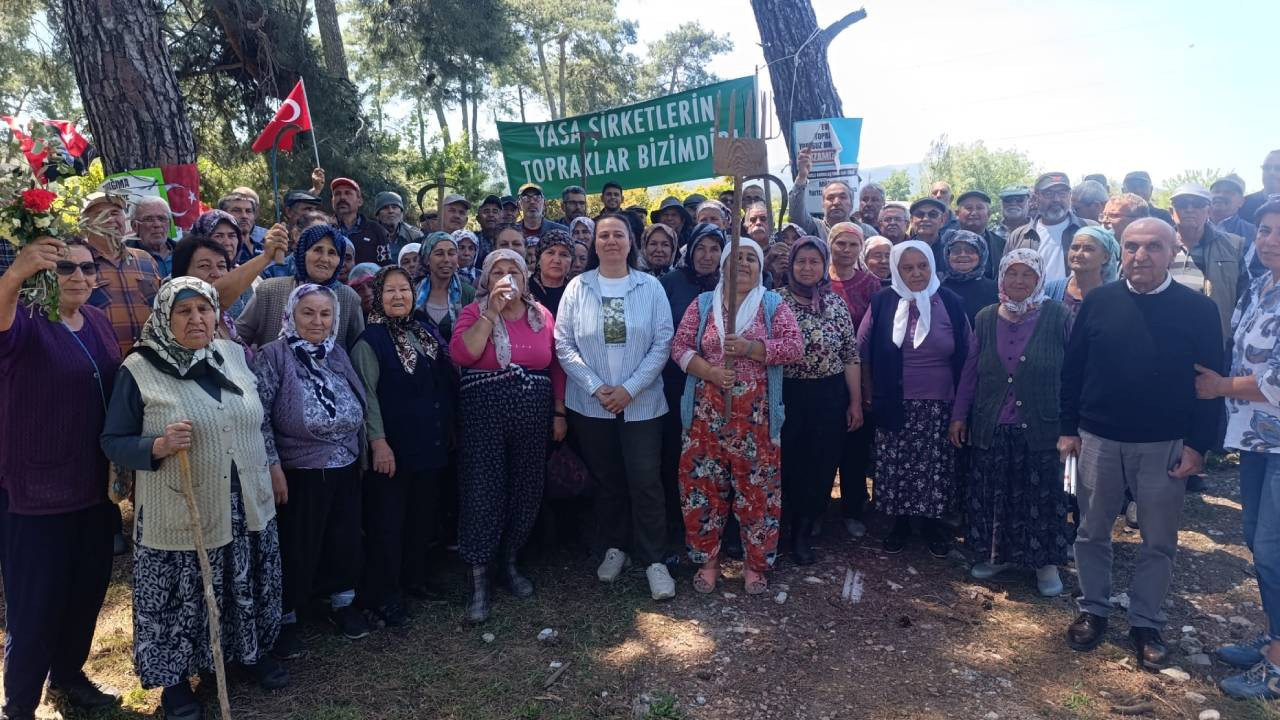 Akbelen’de direniş kazandı: Danıştay’dan yürütmeyi durdurma kararı