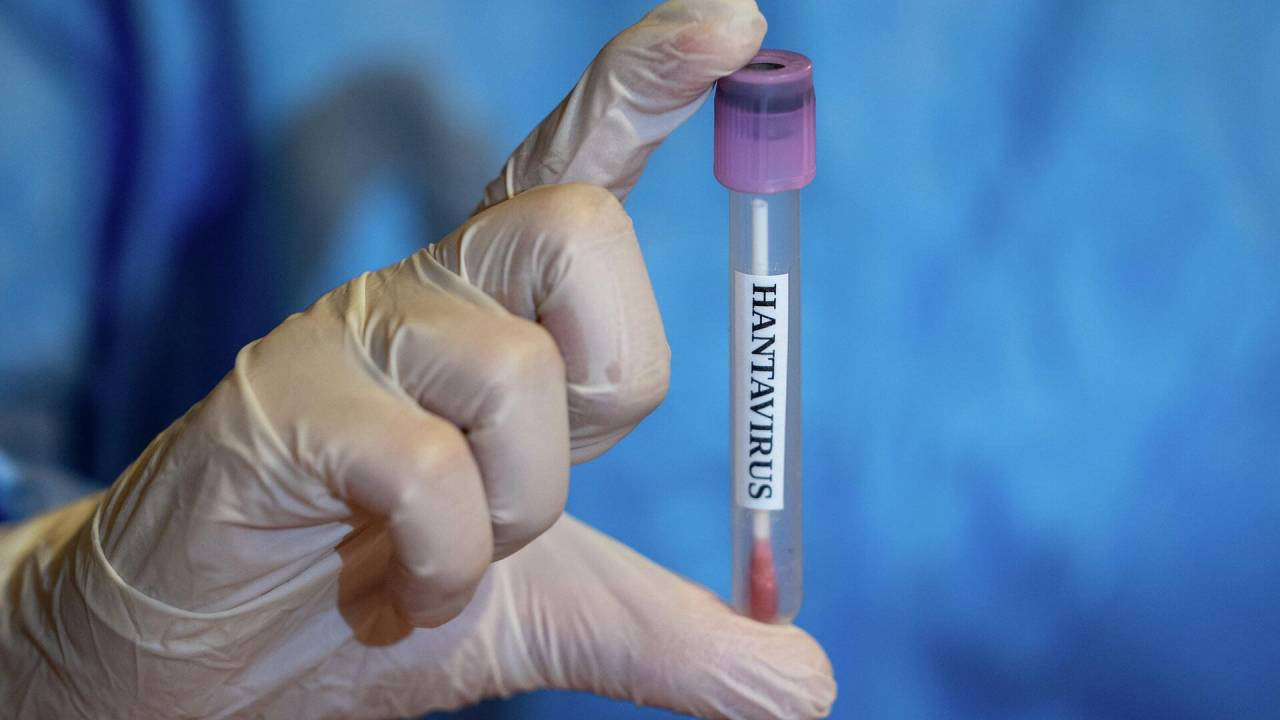 İsrail’de ilk hantavirüs vakası açıklandı