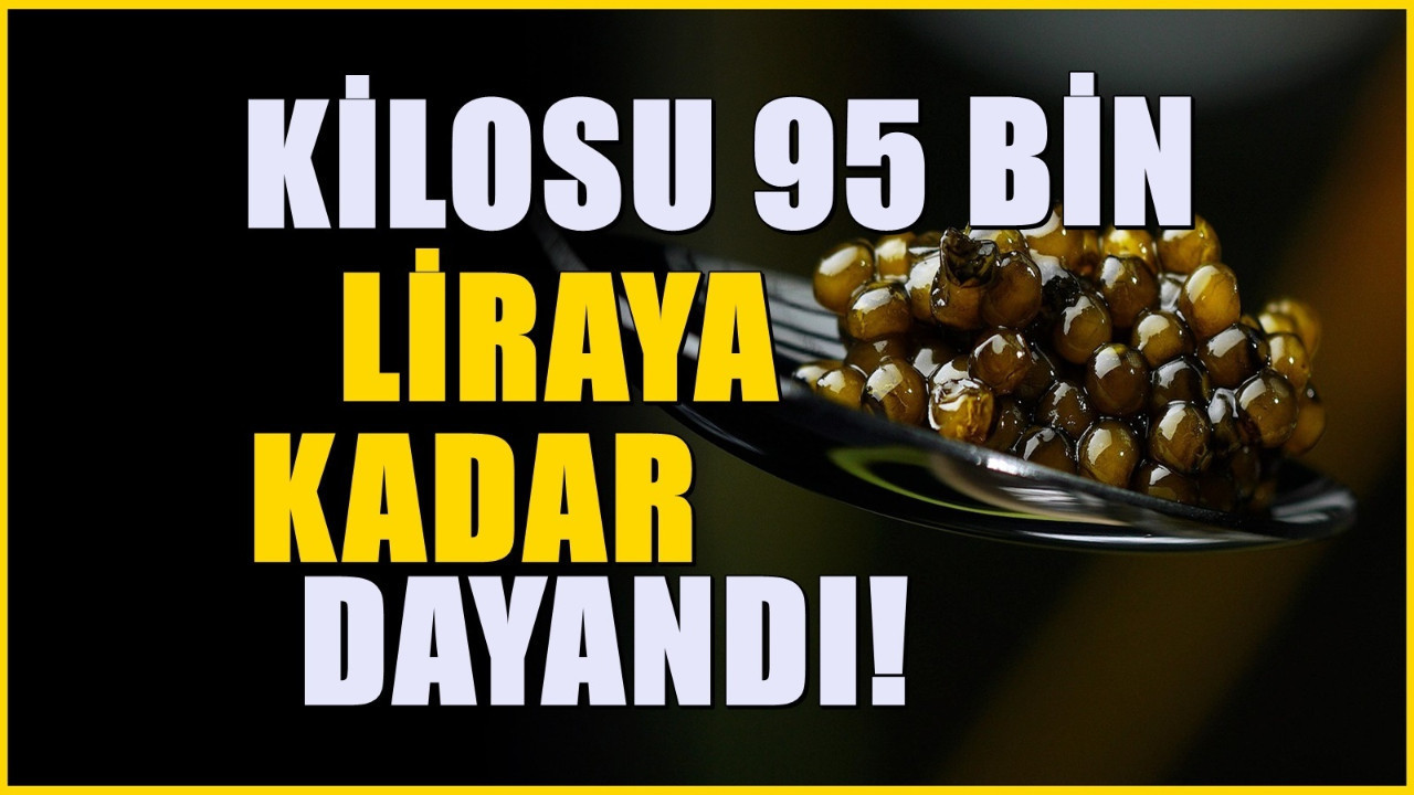 Türkiye’nin Amasya ilinde de yetişiyor! Kilosu 95 