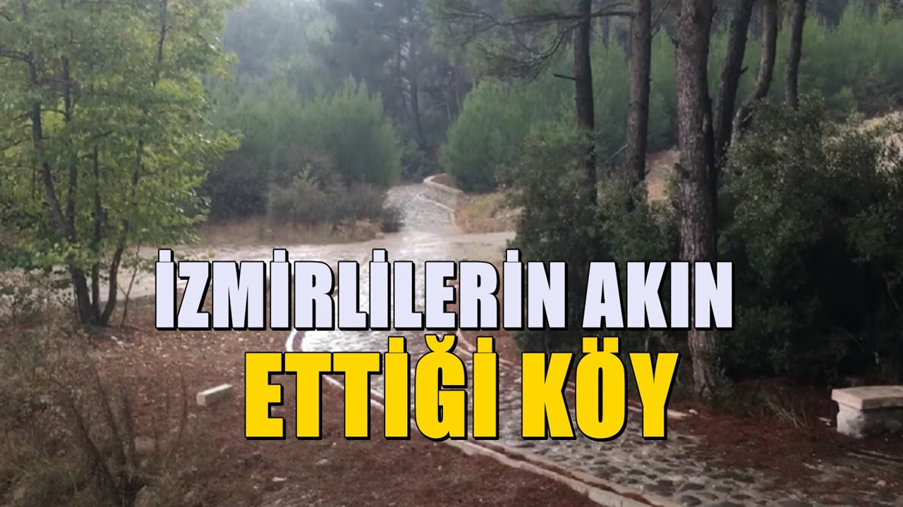 İzmir'in akciğerleri olarak biliniyor! Cumartesi ve Pazarları nüfusu KATLANAN köy