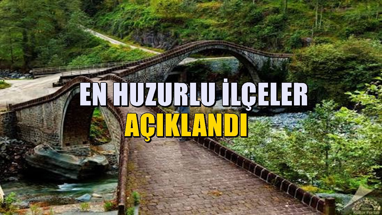 Türkiye'nin en huzurlu 29 ilçesi açıklandı: Büyükşehirlerden kaçışın yeni adresleri