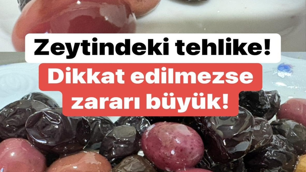 Zeytin Saklama ve Seçiminde Uyarılar