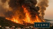 Çeşme'de binlerce hektarlık ormanlık alan kül oldu
