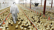 Beyaz et soruşturmasında kayyım kararına mahkemeden fren