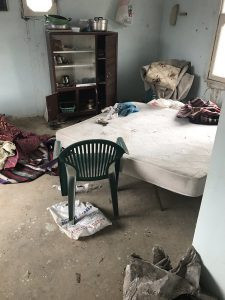 Koruköy'de vahşet: Gebe hayvanların karnını deştiler - Resim : 4