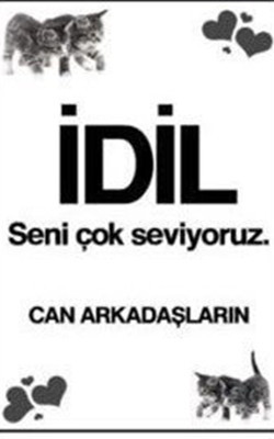 'İdil'e ancak bu kadar yakınım' - Resim : 1