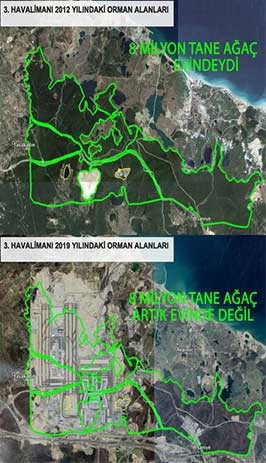 Karadeniz’in derelerini borulara hapsedenlerin, Kuzey Ormanları’nı katledenlerin hiç mi suçu yok? - Resim : 2