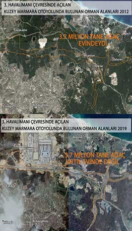 Karadeniz’in derelerini borulara hapsedenlerin, Kuzey Ormanları’nı katledenlerin hiç mi suçu yok? - Resim : 3