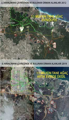Karadeniz’in derelerini borulara hapsedenlerin, Kuzey Ormanları’nı katledenlerin hiç mi suçu yok? - Resim : 1
