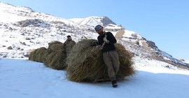 Hayvanları için topladıkları otları dağdan kızaklarla indiriyorlar