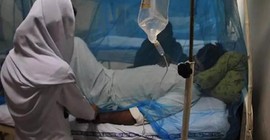 Nijerya'da Lassa ateşi nedeniyle ölenlerin sayısı 53'e çıktı